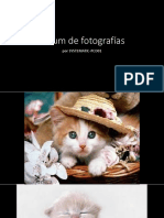 Álbum de Fotografías