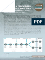 T-Cell Development in Thymus (Desarrollo y Maduración de Las Células T en El Timo)