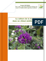 Lucerne Factsheet French 2604