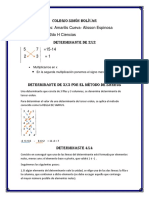 Determinantes