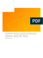 Sample Expert Background Report