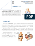 Meniscopatia PDF