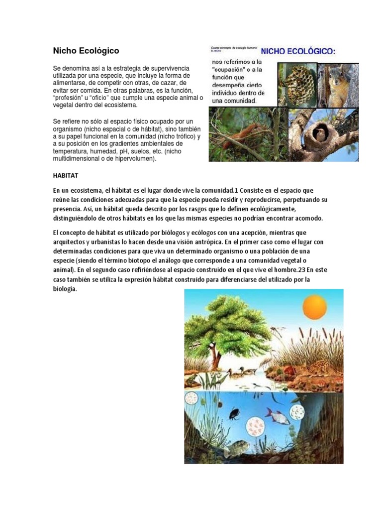 Nicho Ecológico + Habitat | PDF | Ciencia y matemáticas