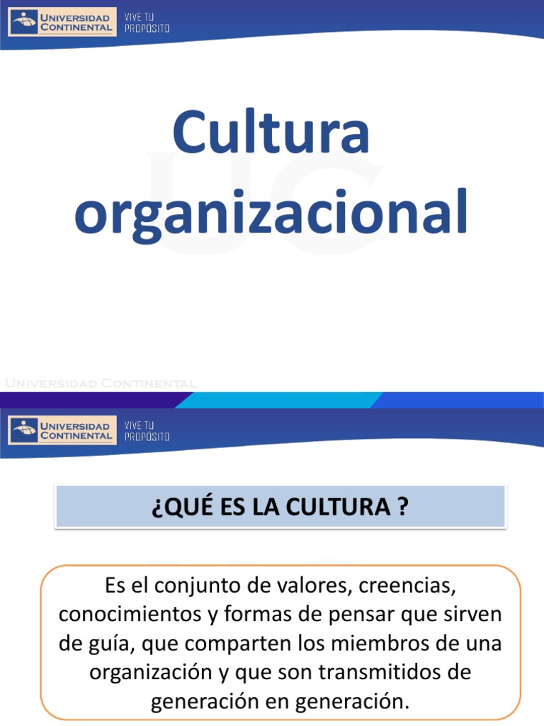 Cultura Organizacional | PDF | Cultura organizacional | Ciencias del ...
