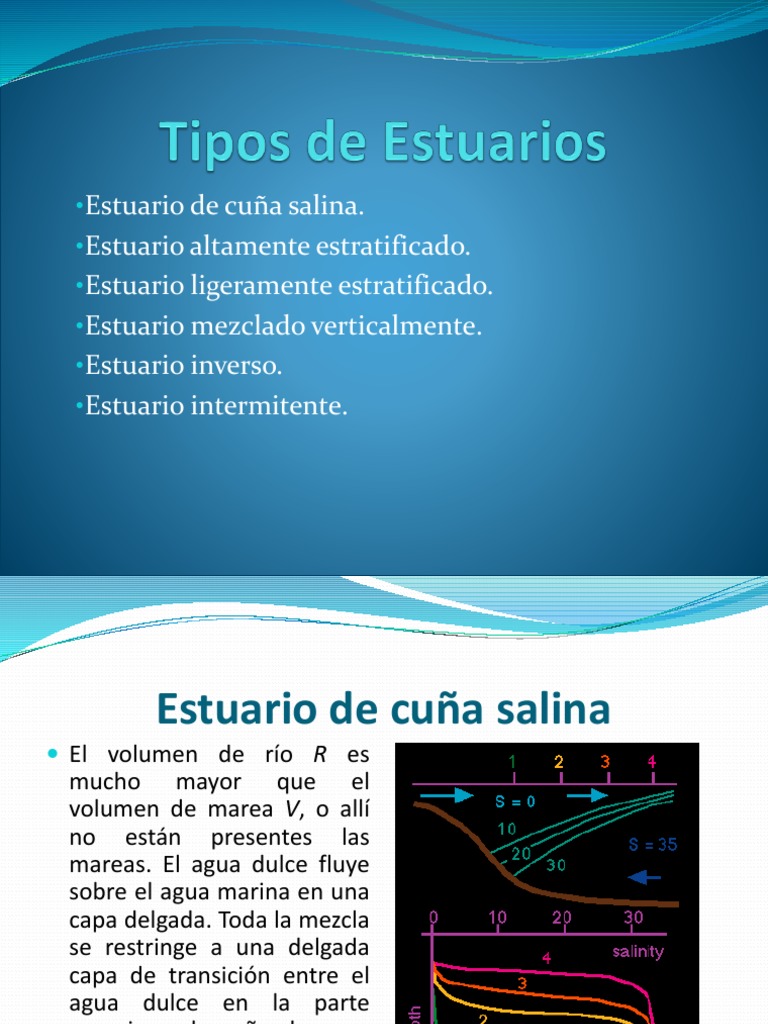 Tipos De Estuarios Marea Salinidad