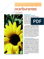 L6 Biocarburantes.pdf