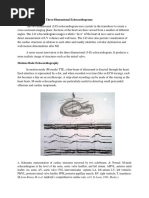Carpentier Mitral Valve Classification | PDF | Heart Valve | Thorax ...