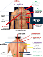 Semilogia AP Respiratorio