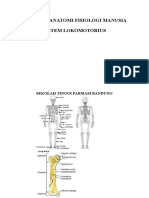 makalah-anatomi-fisiologi-manusia.doc