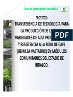 Manejo de viveros PPT.pdf