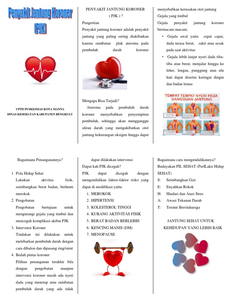 Pdf Penyakit Jantung Koroner Dan Kehamilan Icp Capsule Academia Edu