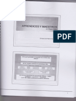 Aprendices y Maestros" y "El Sistema Del Aprendizaje".Pozo, J.I. Síntesis Martha Ezcura.