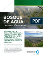 Bosque de Agua Biofoliar