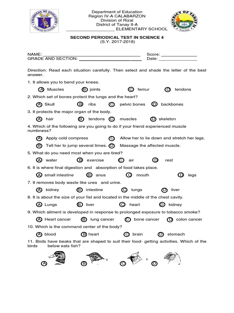 Grade 4 Science TEST With TOS  PDF  Plants  Seed