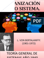 Organización Como Sistemas