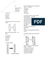 Kelas XII BAB 6 Mutasi