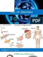 เซลล์ของสิ่งมีชีวิต