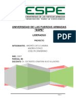 Proyecto Liderazgo