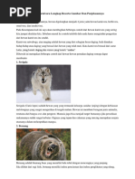 520+ Gambar Hewan Herbivora Beserta Keterangannya HD Terbaik