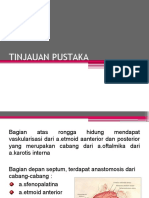 TINJAUAN PUSTAKA EPISTAKSIS