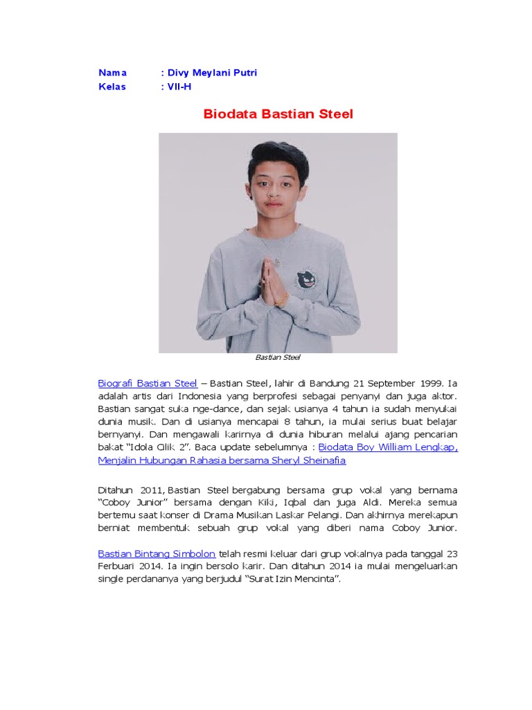 Biodata Bastian Steel