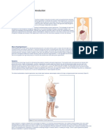 portal_hypertension.pdf