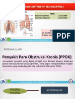Crs Ppok