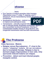 The Protozoa: Plasmodium Vivax, P. Ovale, P. Malariae, and P. Falciparum. All Are Transmitted by Female Anopheles SPP