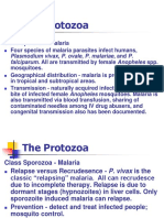 Malaria Parasite Characteristics