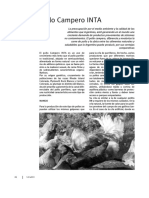 18-Pollo Campero PDF