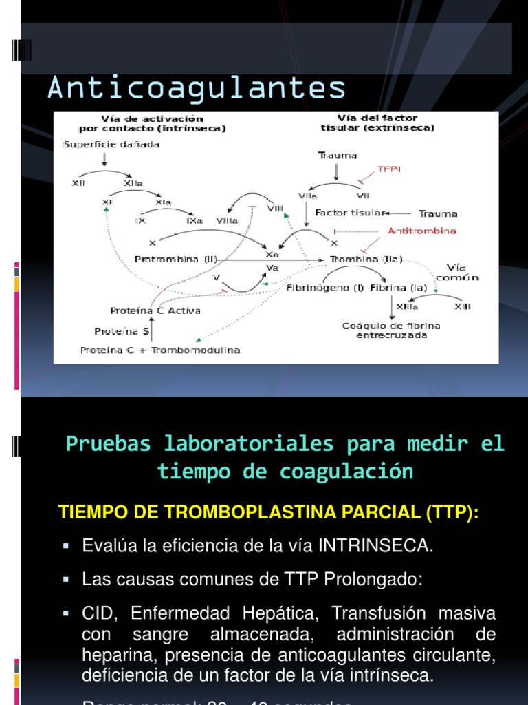 Pruebas de laboratorio para medir la coagulación sanguínea y el efecto ...