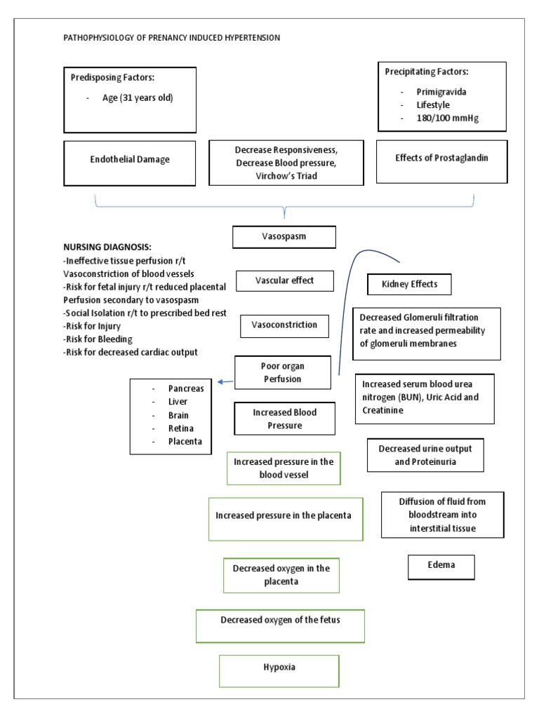Pathophysiology of Pregnancy-Induced Hypertension | PDF | Placenta ...