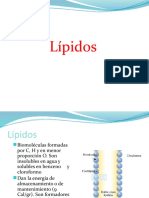 LIPIDOS-PROTEINAS.pptx