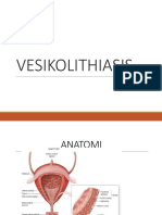 Vesicolithiasis BSH
