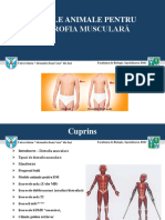 Modele Animale PT Distrofia Musculara