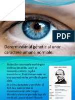 Determinismul genetic al unor caractere umane normale.pptx