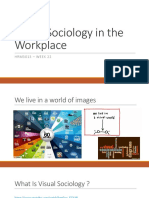 HRM3013 - Week 22 Visual Sociology