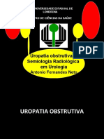 Uropatia Obstrutiva e Semiologia Radiológica em Urologia