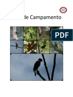 Aves de Campamento