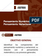 Pensamientos Numérico y Variacional 