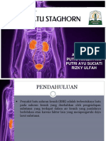 Bagi 'PPT Presentasi Lapkas Urologi - PPTX'