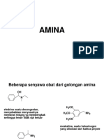 Amina PDF