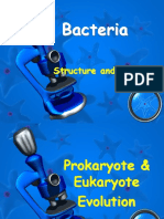 Structure of Bacteria1
