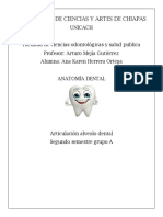 ARTICULACION ALVEOLO-DENTAL.docx