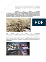 casos de inundaciones en peru.docx