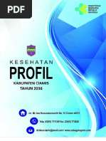 Download Profil Kesehatan Kab Ciamis 2016 by age SN362742141 doc pdf