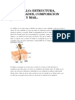 El Cabello, Estructura y Su Composicion