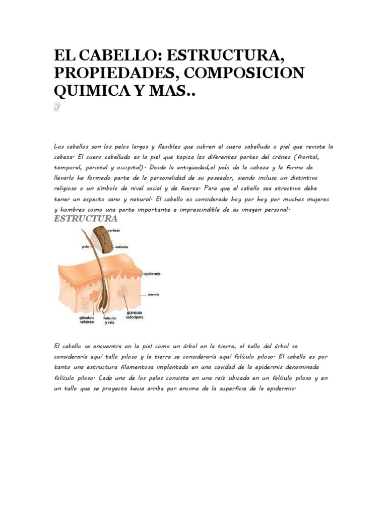 Estructura y composición del cabello | PDF | Pelo | Sistema tegumentario