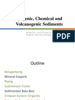 Biogenic, Chemical and Volcanogenic Sediments.pptx