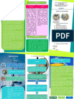 TRIPTICO DERECHO ADUANERO.docx